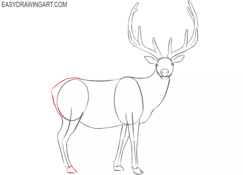 elk drawing images step by step