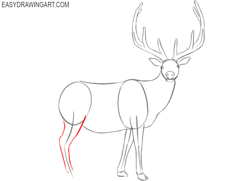 elk drawing step by step easy