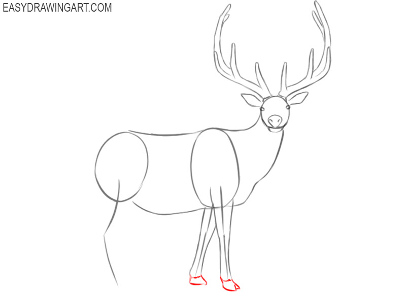 elk drawing step by step
