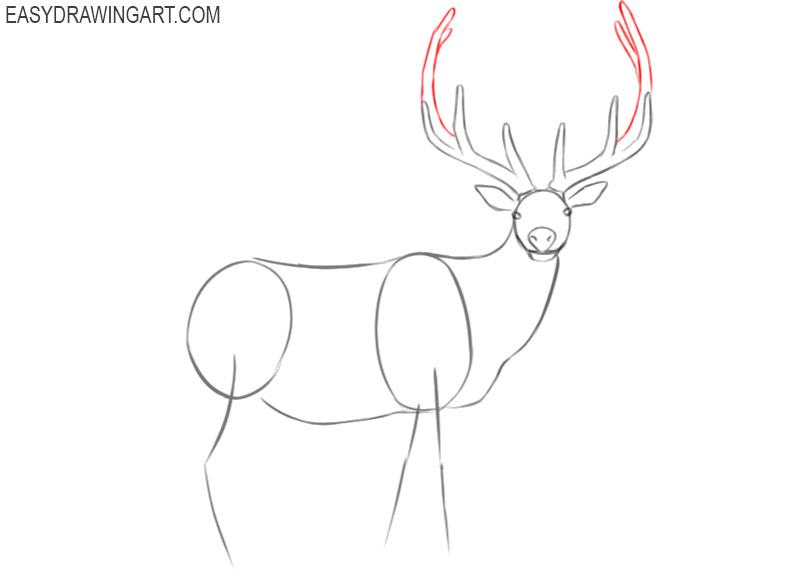 elk images for drawing