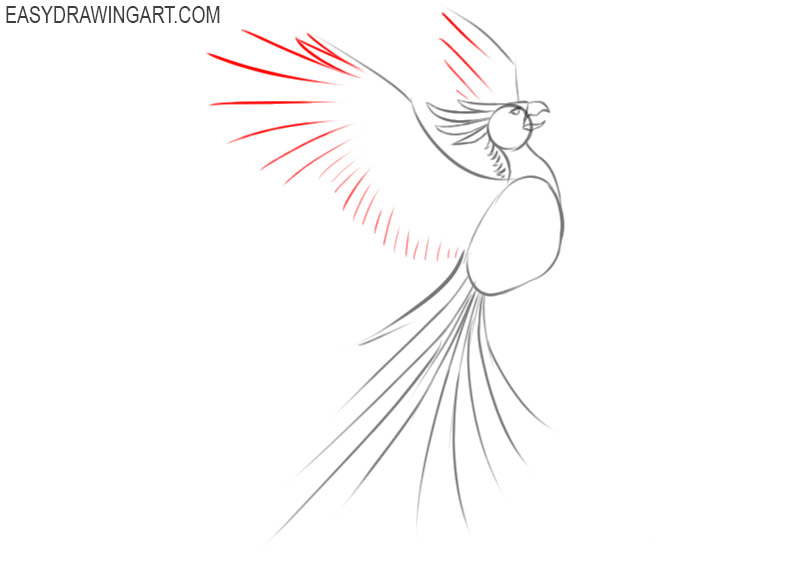 how to draw a cartoon phoenix