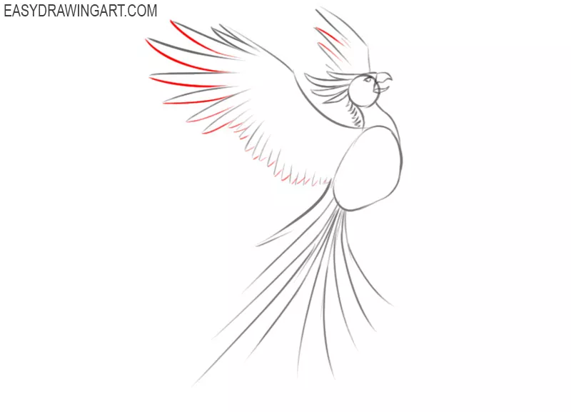 how to draw a cool phoenix
