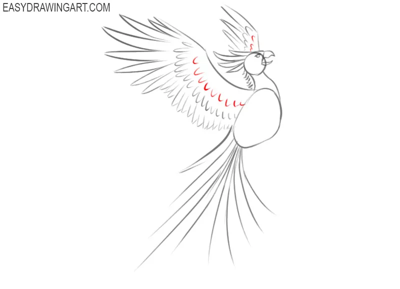 how to draw a picture of phoenix
