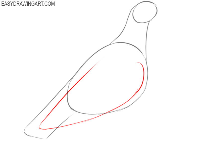how to draw a pigeon in easy way
