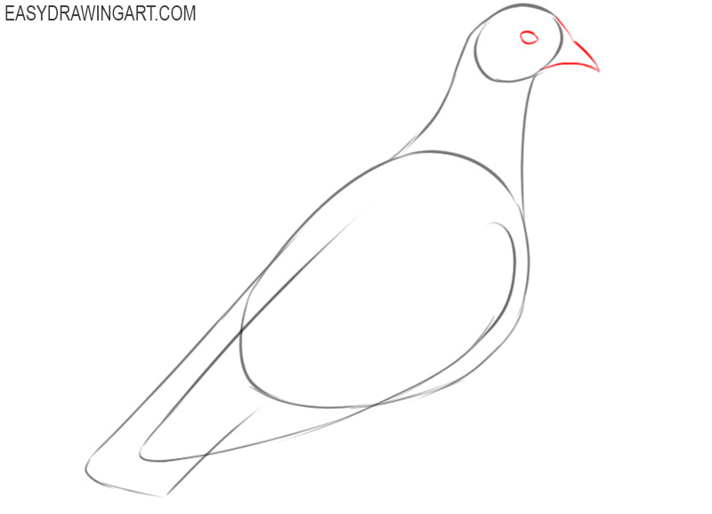 how to draw a pigeon step by step easy