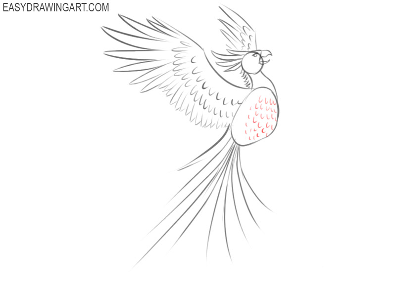 phoenix drawing easy