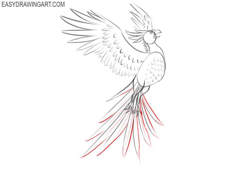 phoenix drawing simple