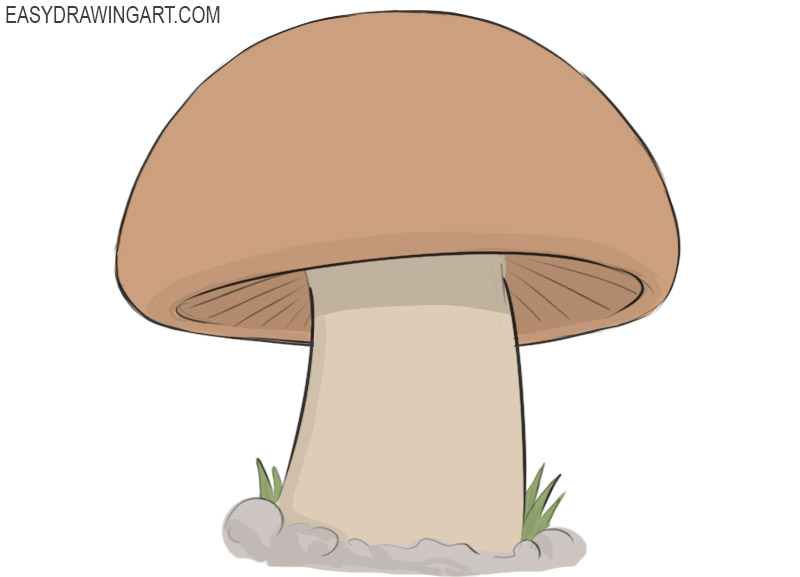 How to Draw a Mushroom