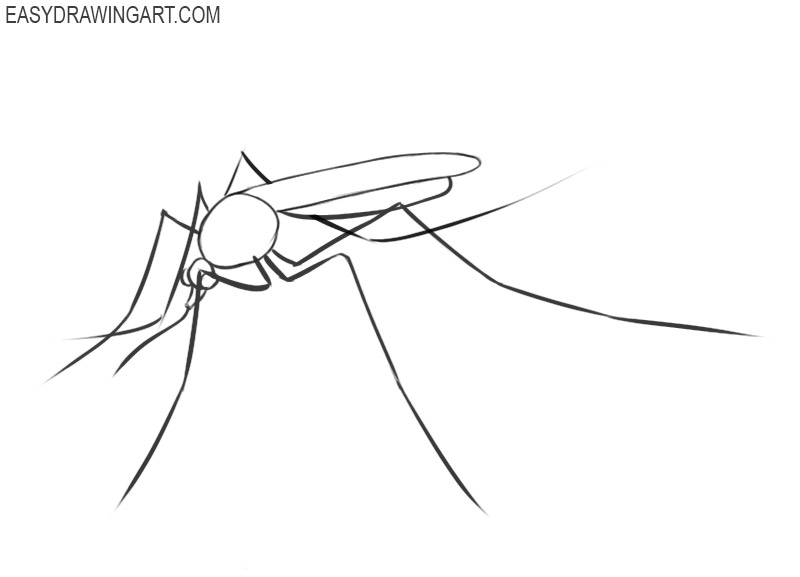easiest way to draw a mosquito 