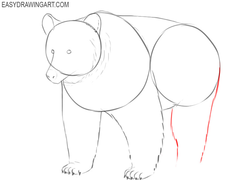 grizzly drawing cartoon 
