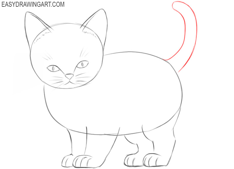 how to draw a baby kitten step by step
