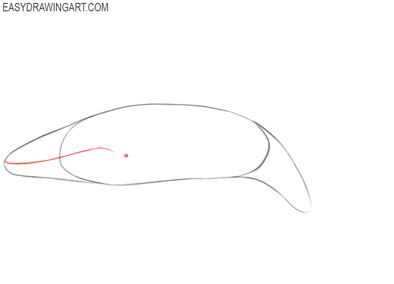 how to draw a blue whale easy step by step