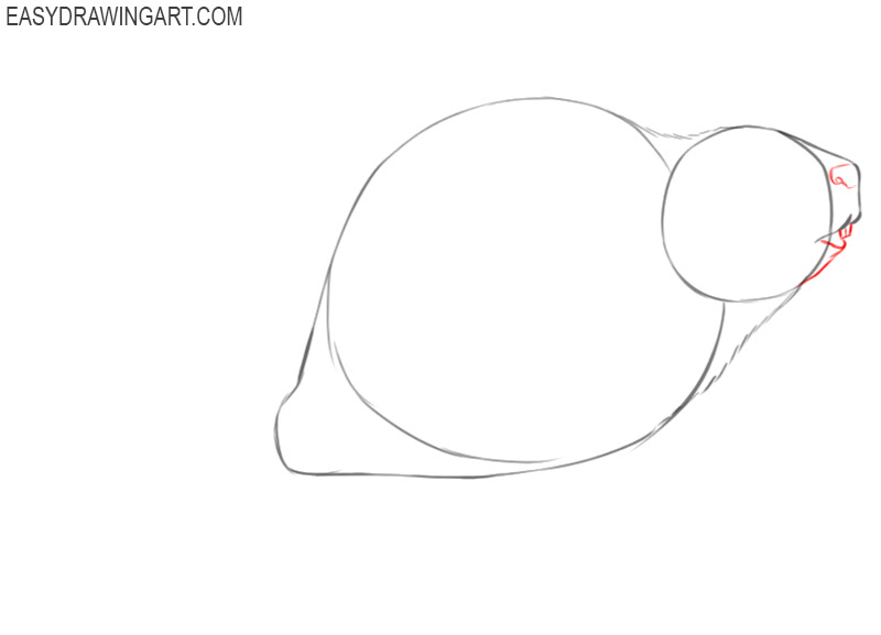 how to draw a cartoon beaver step by step