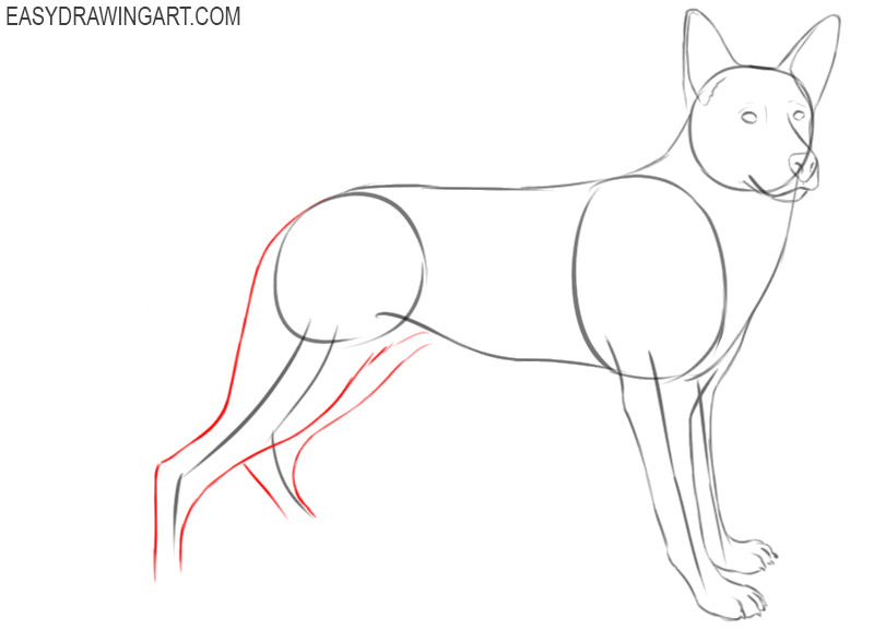 how to draw a cartoon german shepherd dog
