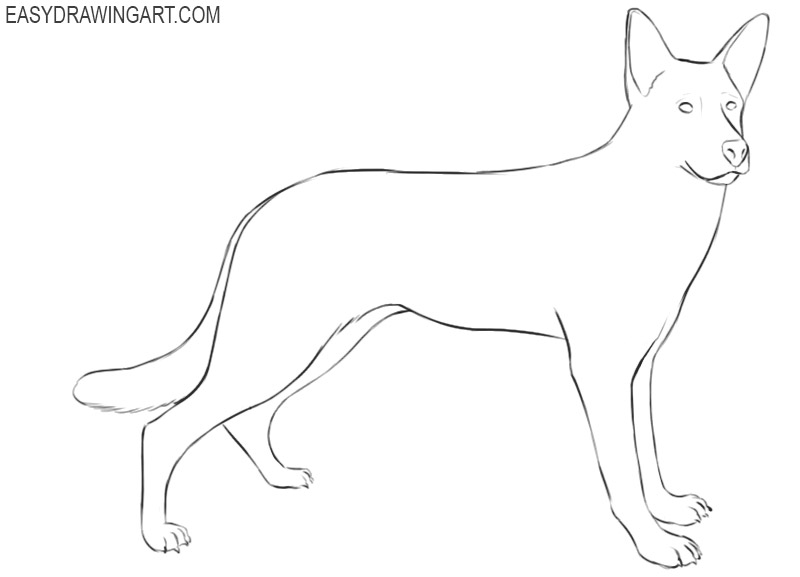 how to draw a cartoon german shepherd puppy