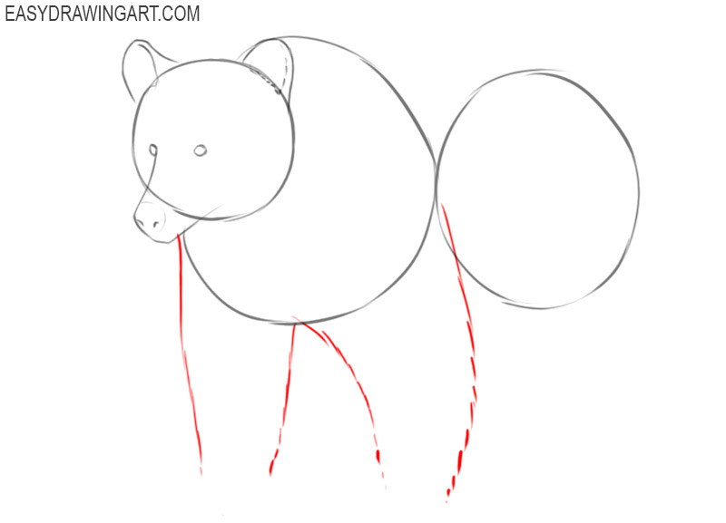 how to draw a cartoon grizzly bear step by step