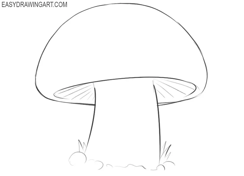 how to draw a cool mushroom