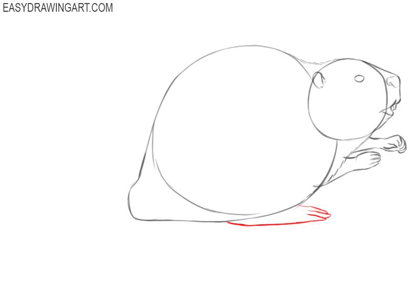 how to draw a cute cartoon beaver 