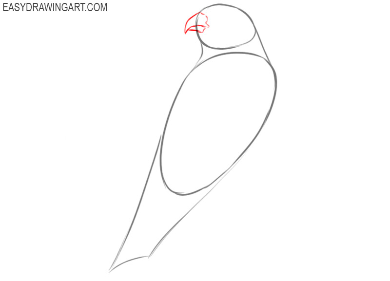 how to draw a falcon for beginners 