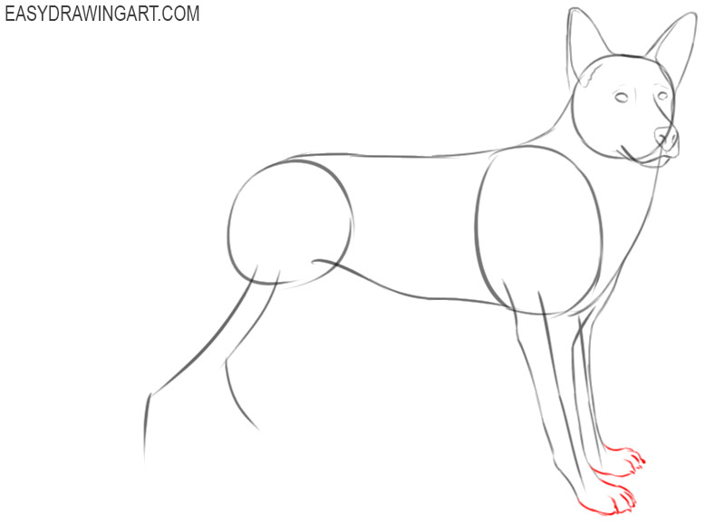  how to draw a german shepherd dog 