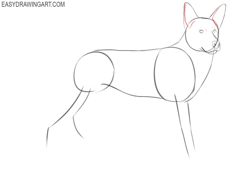 how to draw a german shepherd step by step for beginners