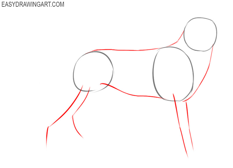 how to draw a german shepherd step by step