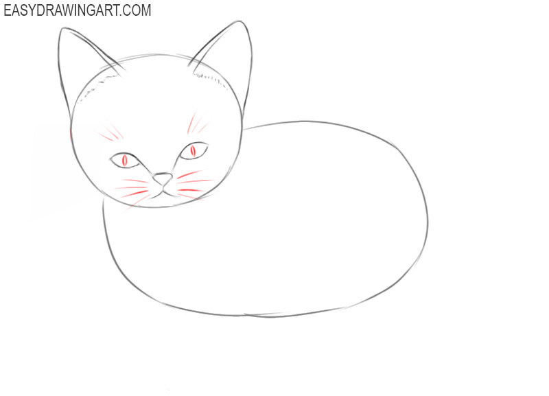 how to draw a kitten cartoon 