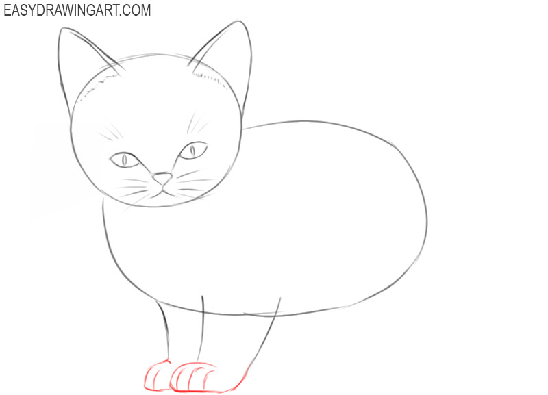 how to draw a kitten for kids