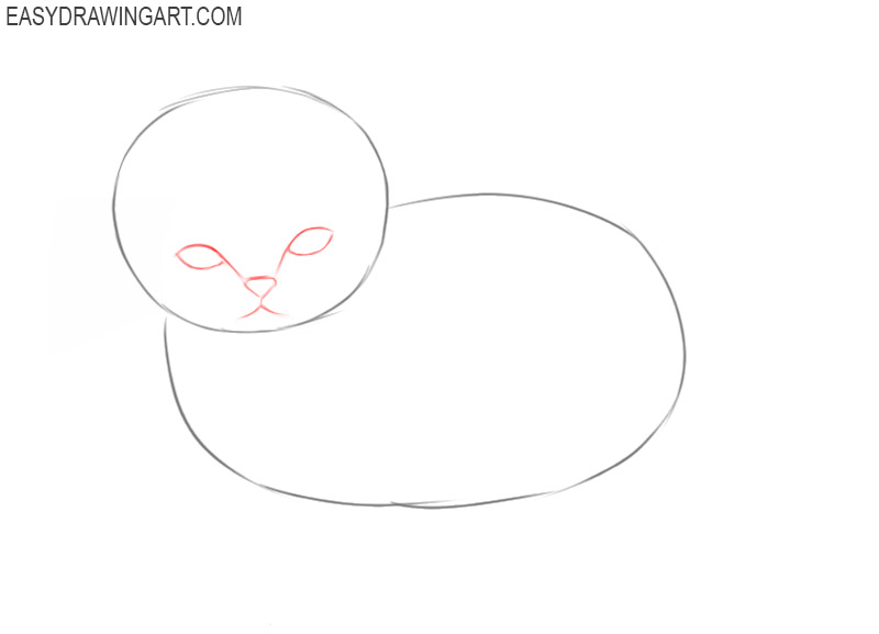 how to draw a kitten step by step 