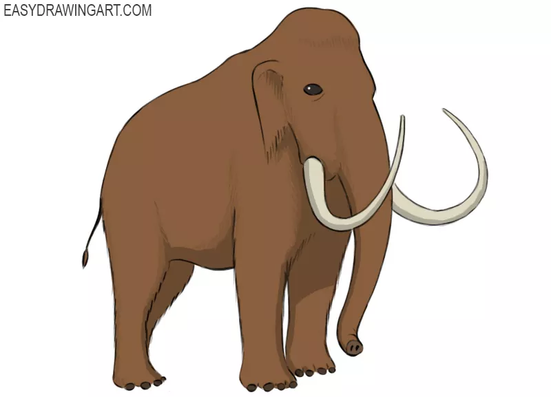 how to draw a mammoth