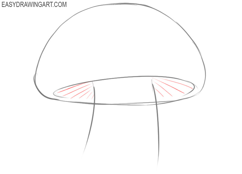 how to draw a mushroom step by step