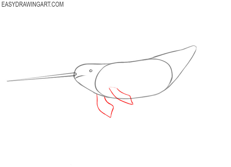 how to draw a narwhal cute