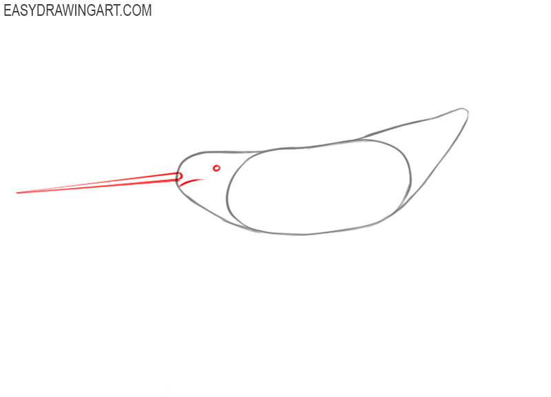 how to draw a narwhal easy step by step