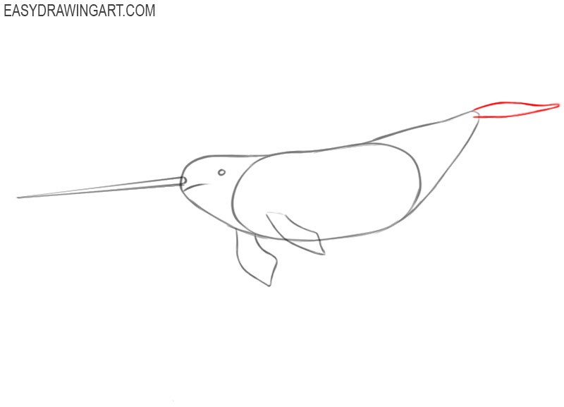 how to draw a narwhal pictures