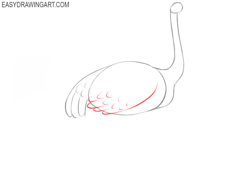 how to draw a ostrich step by step 