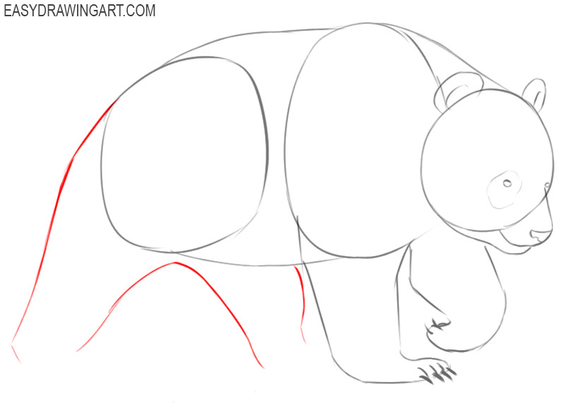 how to draw a panda cute step by step 