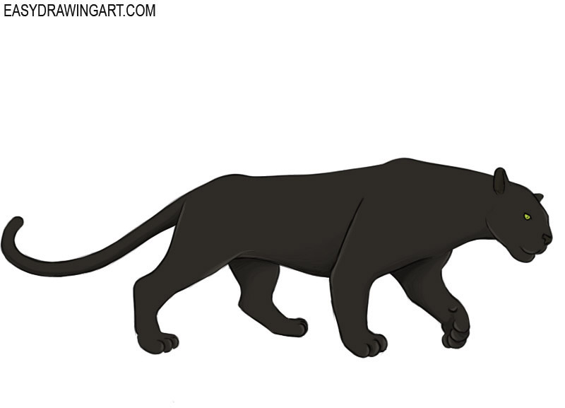 how to draw a panther