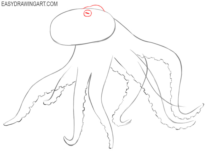 how to draw an octopus tentacle