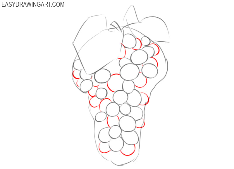 how to draw grapes easily