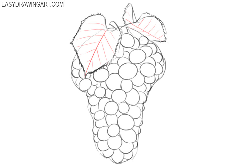how to draw grapes for beginners