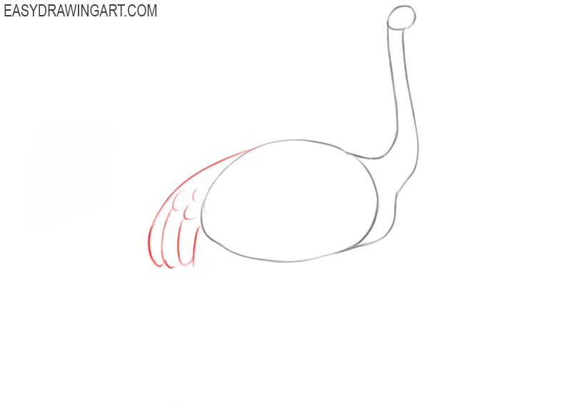 how to draw ostrich step by step easy