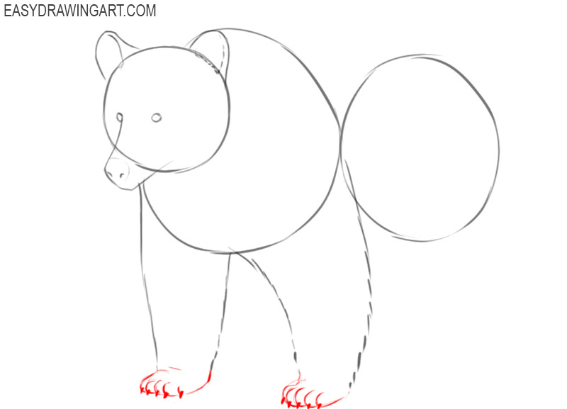 how to easily draw a grizzly bear 