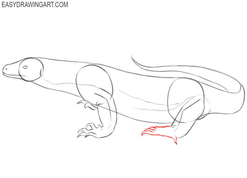 komodo dragon drawing picture