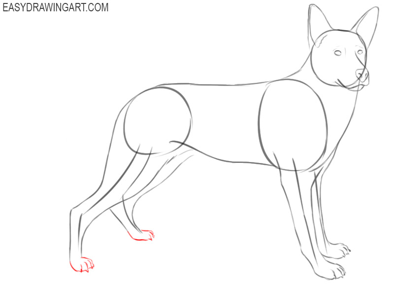learn how to draw a german shepherd