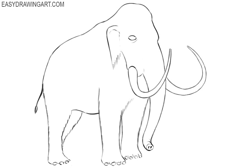 mammoth drawing picture