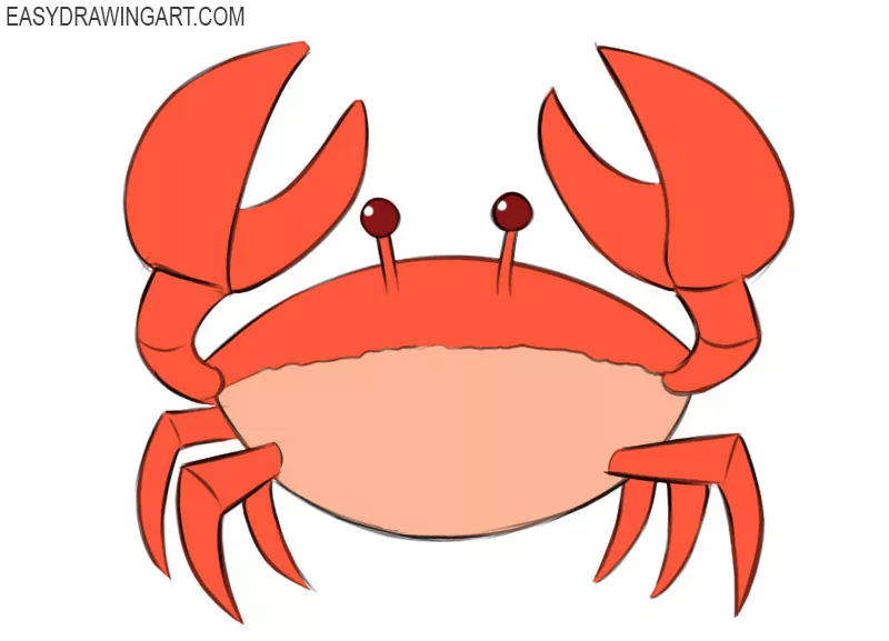 How to Draw a Crab Easy Drawing Art