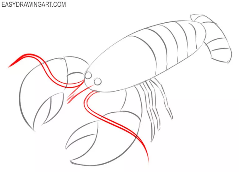 Crayfish Drawing Easy How To Draw Crayfish Bocanewasuow