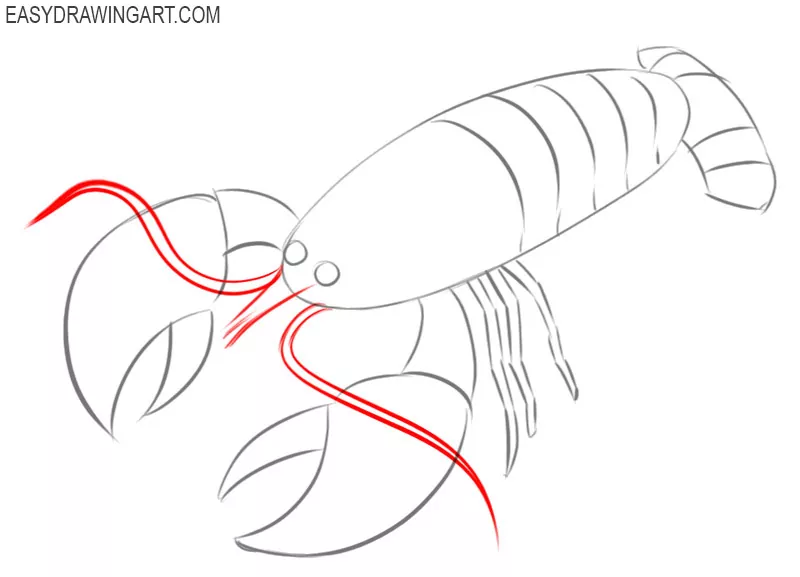 How to Draw a Crayfish Easy Drawing Art
