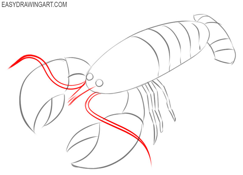 How to Draw a Crayfish Easy Drawing Art