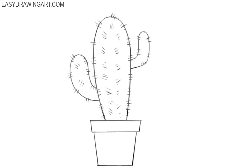 How to Draw a Cactus Easy Drawing Art